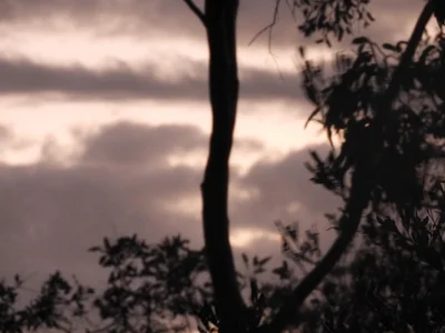 Williamstown - Photo 4
