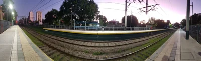 Wilde - Photo 5