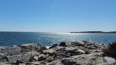 Rye - Photo 4