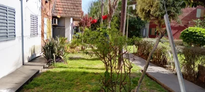 Banfield - Photo 4