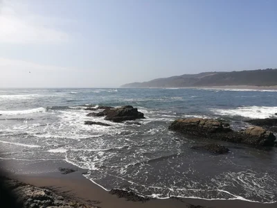 Llico - Photo 2