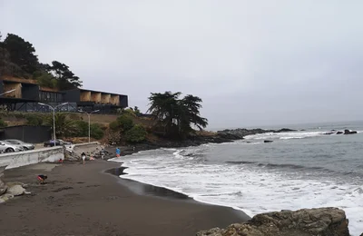 Llico - Photo 3