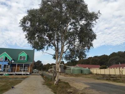 Yass Valley Council - Photo 2