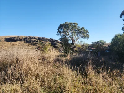 Yass Valley Council - Photo 4