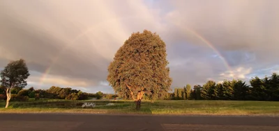 Yass Valley Council - Photo 5