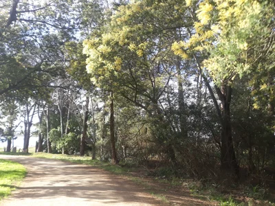 La Capuera - Photo 3