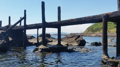 Muelle Stella Maris - Photo 4