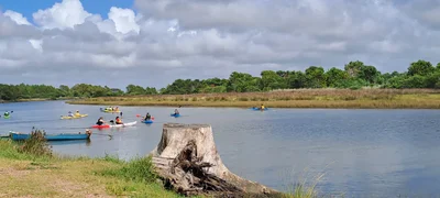 Punta Del Este - Photo 4