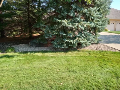 Edina - Photo 4