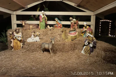 Garland - Photo 3