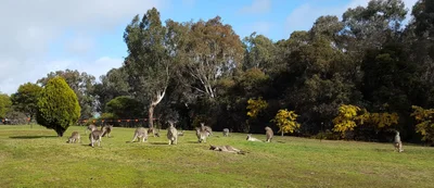 City of Wodonga - Photo 3