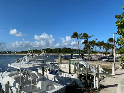 Royal Palm Beach - Photo 3