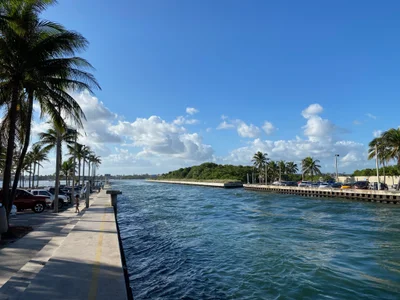 Royal Palm Beach - Photo 4