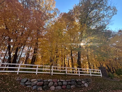 Minnetonka - Photo 2