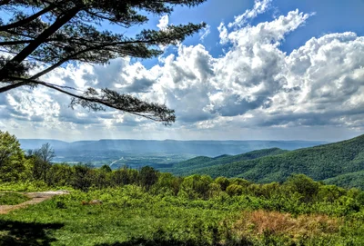 Shenandoah National Park - Photo 5
