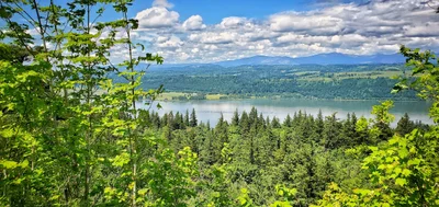 Corbett - Photo 5