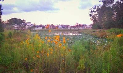 Covington - Photo 2