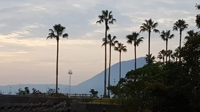Beppu - Photo 5