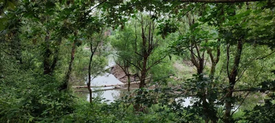 Troutdale - Photo 5