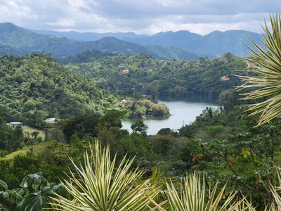 Utuado - Photo 3