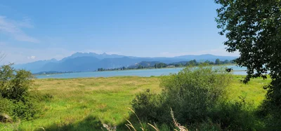 Port Coquitlam - Photo 4