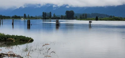 Port Coquitlam - Photo 5