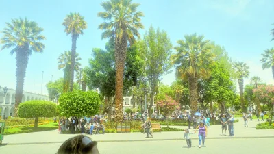 Santa Maria - Photo 3