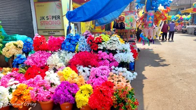 Cuncolim - Photo 2