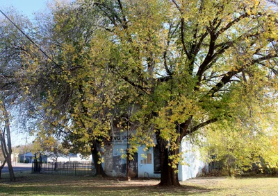 Shawnee - Photo 3