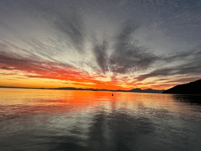Orpheus Island - Photo 4