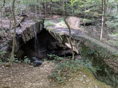 Rockbridge - Photo 2