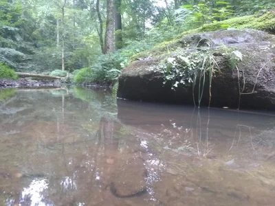 Rockbridge - Photo 4