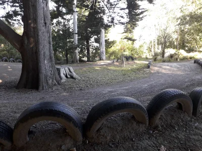 Ohoka - Photo 4