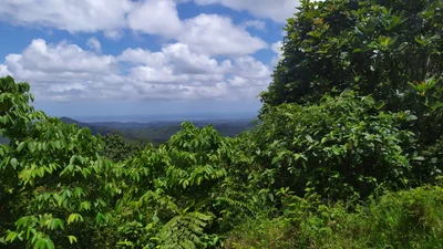 Namosi - Photo 5