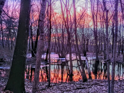 Cranston - Photo 2