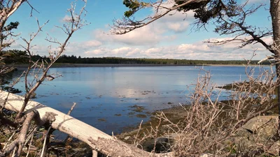 Campobello Island - Photo 4
