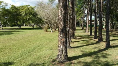Sunnybank Hills - Photo 3
