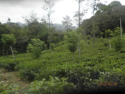 Kumbalwela - Photo 4