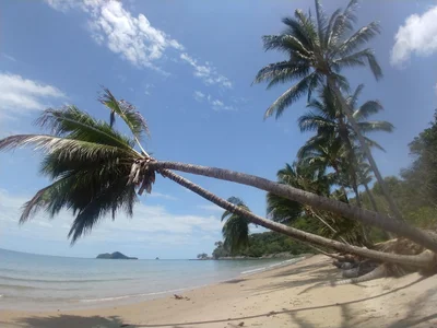 Ellis Beach - Photo 3