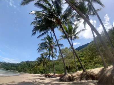 Ellis Beach - Photo 5