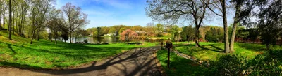 Guilford - Photo 5
