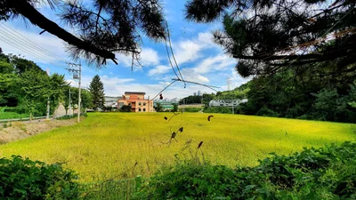 Yongin-si - Photo 4