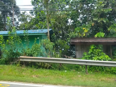 Tamparuli - Photo 4