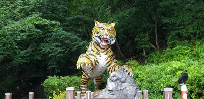 Boryeong-si - Photo 4