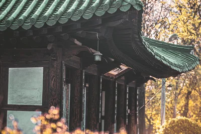 Yeoju-si - Photo 4