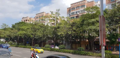 Jiangmen - Photo 3