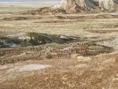 Petrified Forest National Park - Photo 2
