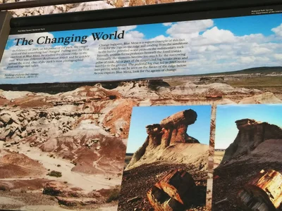 Petrified Forest National Park - Photo 3