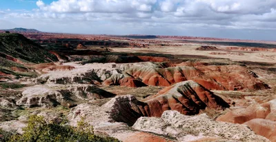 Petrified Forest National Park - Photo 4