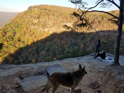 Signal Mountain - Photo 4